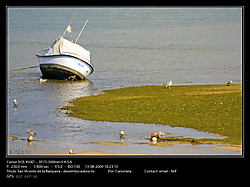 San_Vicente_de_la_Barquera_-_desembocadura_rio_.jpg