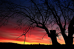 Silueta_de_invierno_al_anochecer.jpg