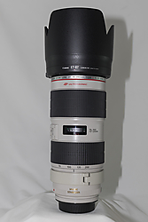 T3A3268_canon_70-200_.jpg