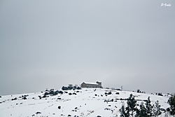Tocatu03_11_g28.jpg