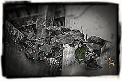 Untitled_2_1.jpg