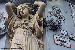 VIENNA-1-50_seg_para_subir.jpg