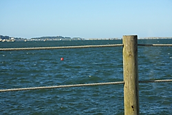 Viendo la bahía Viendo_la_bah_a.jpg