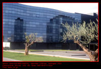 Viltor_03_g61.jpg