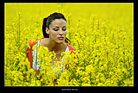 YELLOW-SEA-021-flickr.jpg