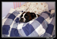 a67cb45db2ee36ad671dc9016ca00021.jpg