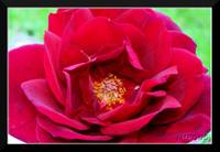 ad7868ec139a88a65a840f01fafcb1dc.jpg