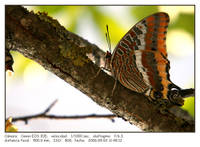 aedcabe6c2e186bec8061e248e97f6ff.jpg