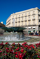 agua_y_flores.jpg