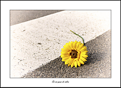 albcnblau_06_g21.jpg