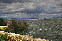 albufera8.jpg