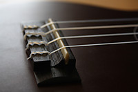 annied0g_05_g15.jpg