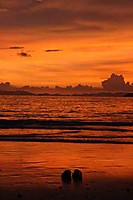atardecer52.jpg