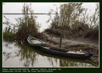 barcos_quemados.jpg