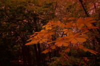 bd874ebfcf1f0c2769c96a77f05b3555.jpg