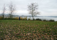 bekita_en_el_lago.jpg