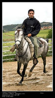 caballo2.jpg