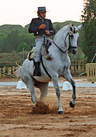 caballo21.jpg
