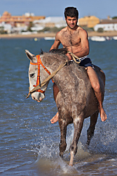 caballoforo2.jpg