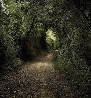 camino-draga2.jpg