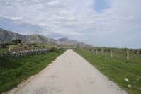 camino_al_cielo1.jpg