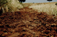 caminodragan.jpg