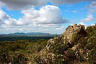 campo5.jpg