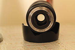 canon218.JPG