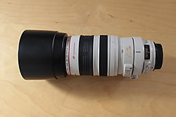 canon_100-400mm_003.JPG