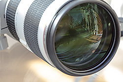 canon_70_200-13.jpg