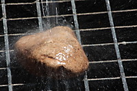 carleschn_13_g15.JPG