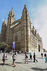 catedral_mallorca.jpg