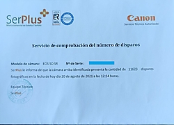 certificado.jpg