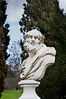 cesar1.jpg