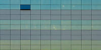 chamarin_pattern_final.jpg