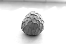 chirimoyabyn chirimoyabyn.JPG