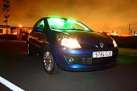 clionocturna.JPG