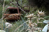 coche.jpg