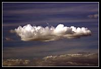 craso_14_g8.jpg
