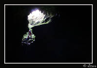 d20ab6ad25374ba4566956a9cf668031.jpg