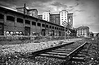 definitica_via_copia_blanco_y_negro_copia_canonistas.jpg