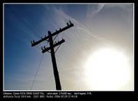 ec9b918538bdd59bf7b058db29276ca3.jpg