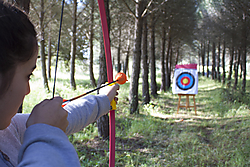 flecha2.jpg