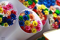 flores-rambla.jpg