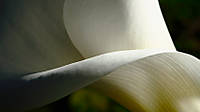 formas-01.jpg