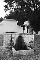 fuente_grande_byn.jpg