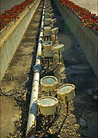 gonedns_08_g91.jpg
