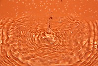 gota111.jpg