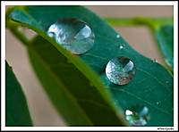 gotas1_001.jpg