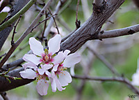 gustavodeniz_14_g17.jpg